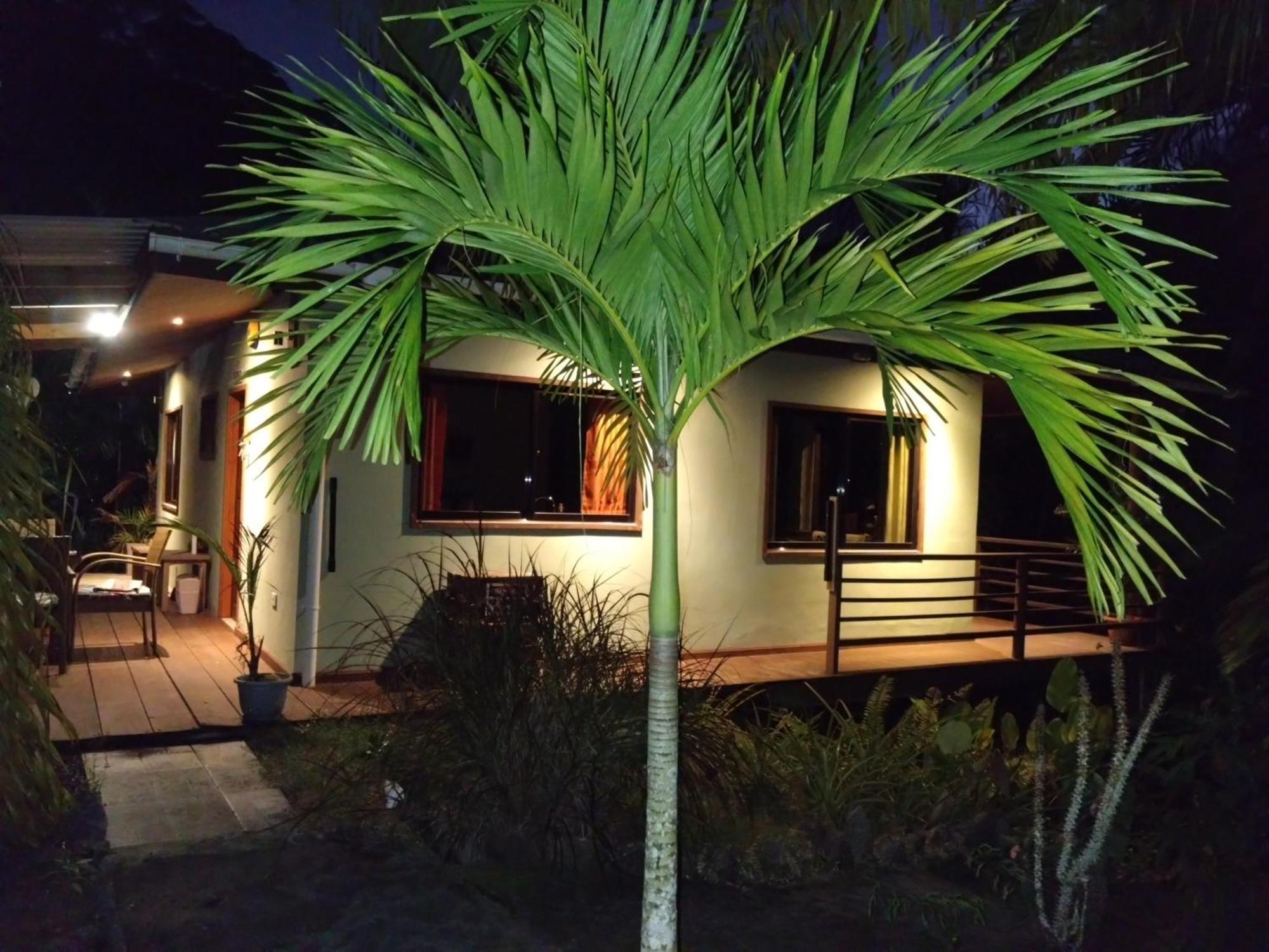 A Peace In Paradise Anse Royale Rom bilde